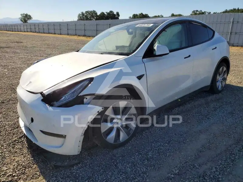 2022 Tesla Model Y photo