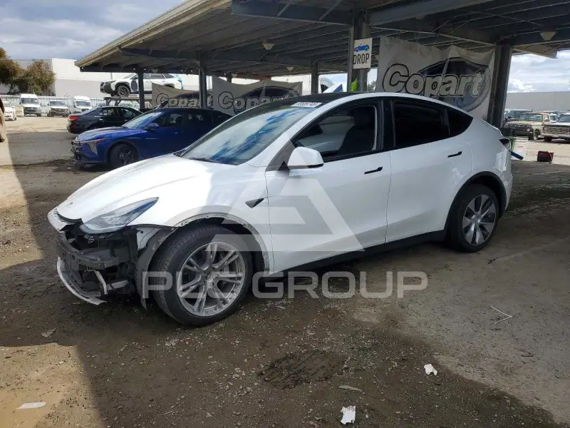 2022 Tesla Model Y photo
