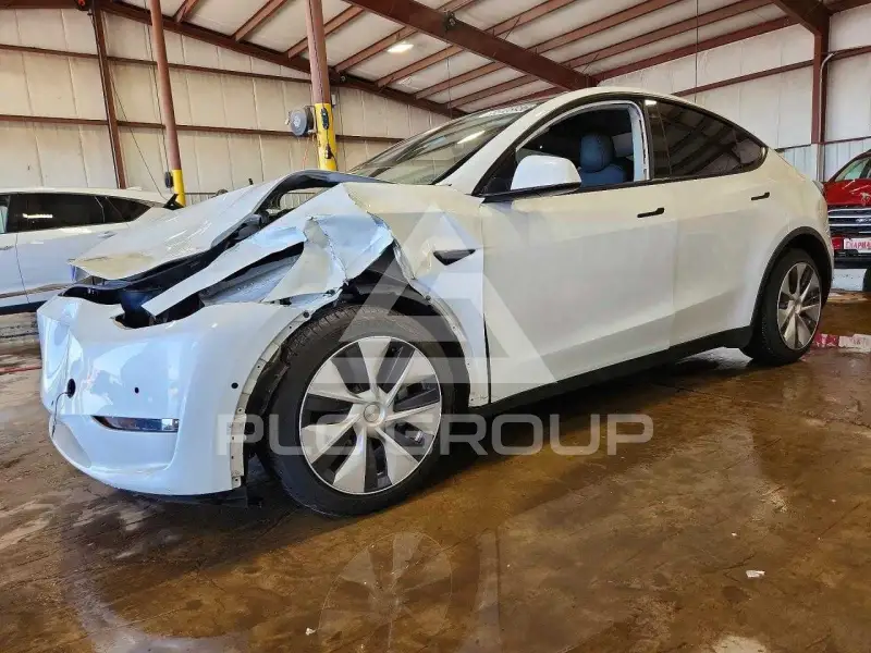 2022 Tesla Model Y photo