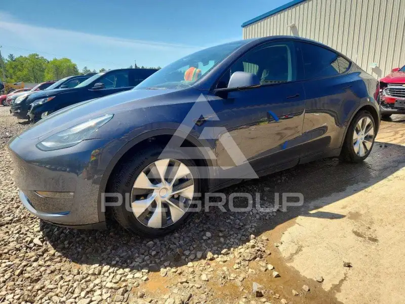 2022 Tesla Model Y photo