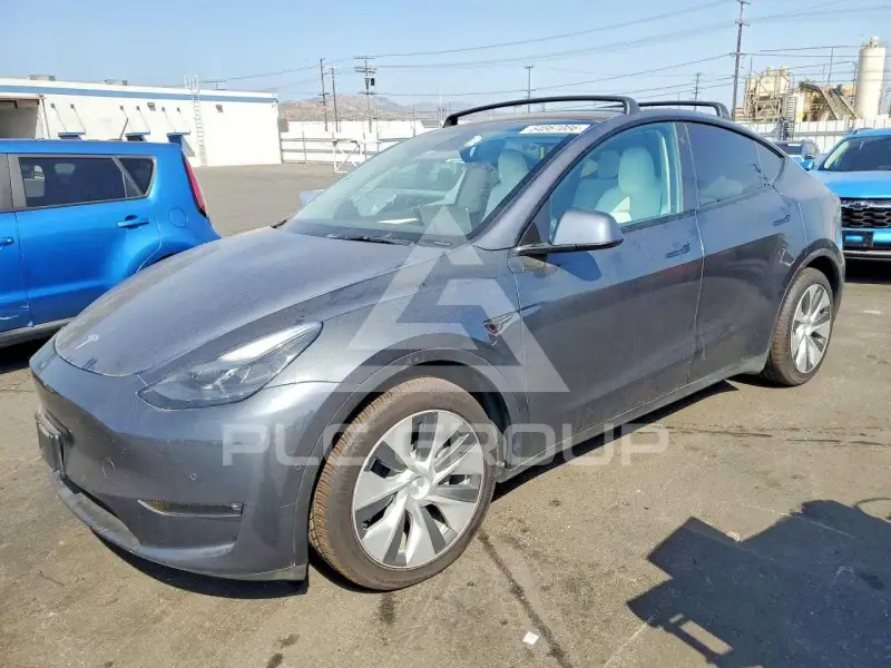 2022 Tesla Model Y photo