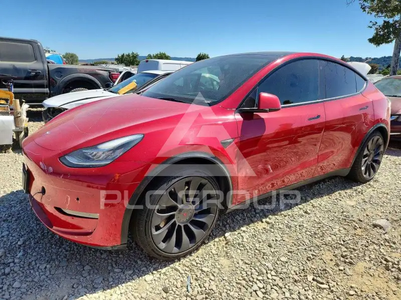 2022 Tesla Model Y фото
