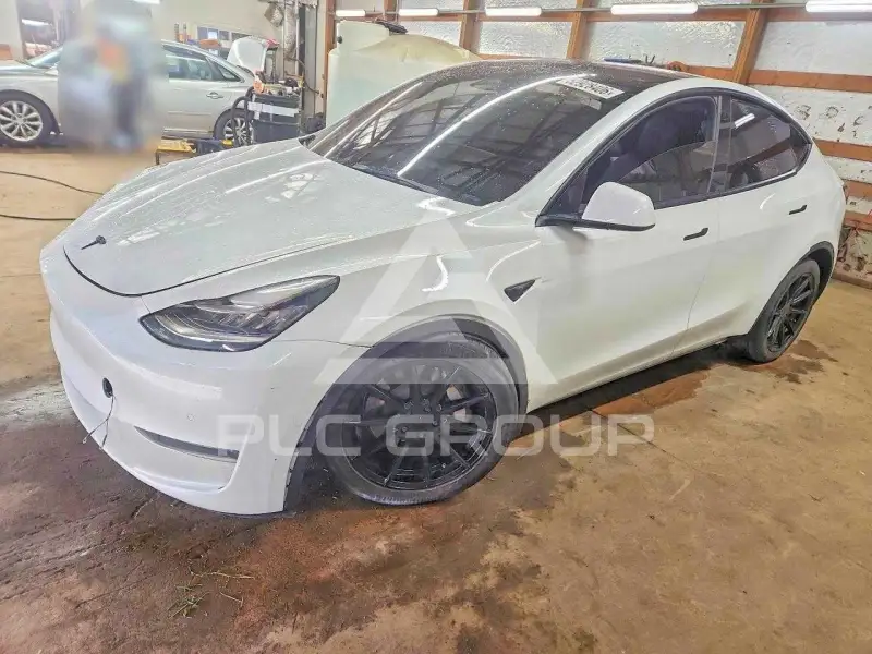 2022 Tesla Model Y photo