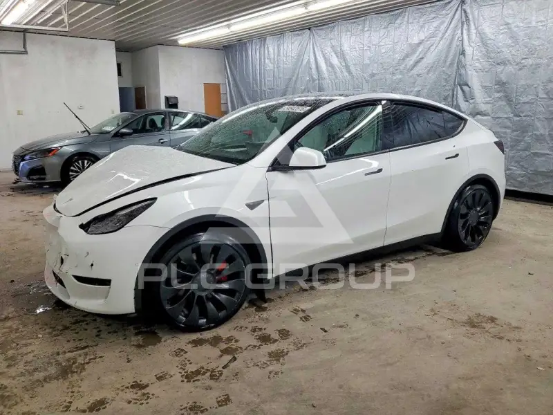 2022 Tesla Model Y photo