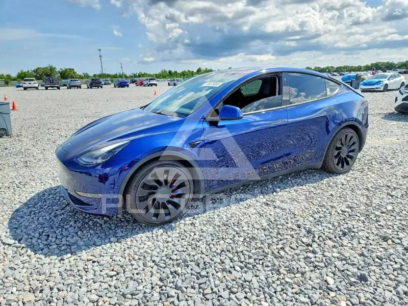 2022 Tesla Model Y фото
