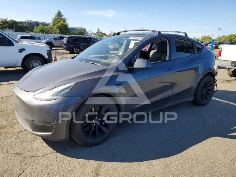 2022 Tesla Model Y photo