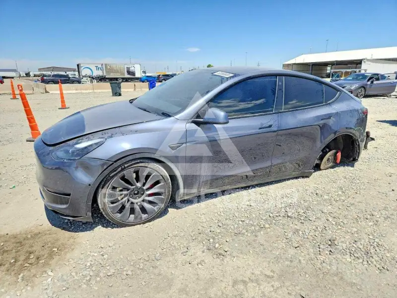 2022 Tesla Model Y photo