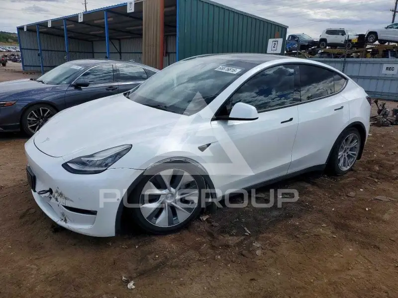 2022 Tesla Model Y фото