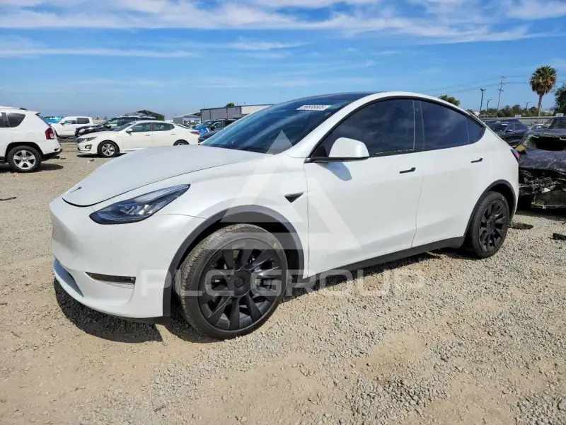 2022 Tesla Model Y photo
