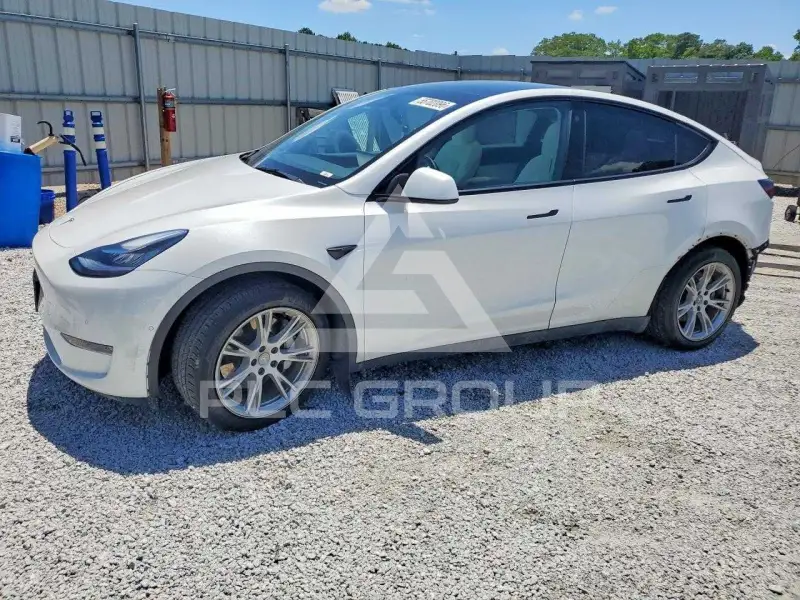 2022 Tesla Model Y photo