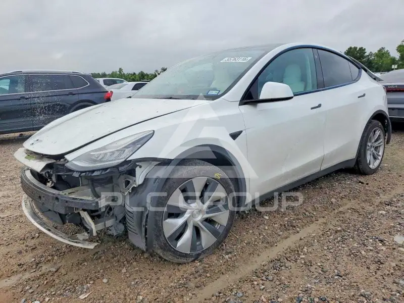 2022 Tesla Model Y фото