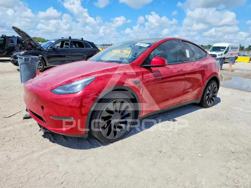 2022 Tesla Model Y фото