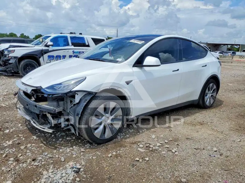 2022 Tesla Model Y photo