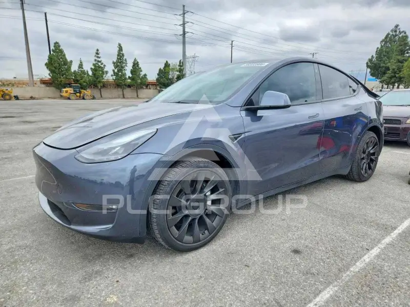 2022 Tesla Model Y photo