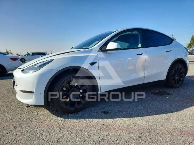 2022 Tesla Model Y photo
