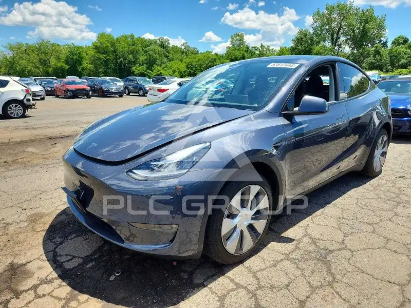 2022 Tesla Model Y photo