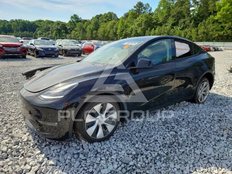 2022 Tesla Model Y photo