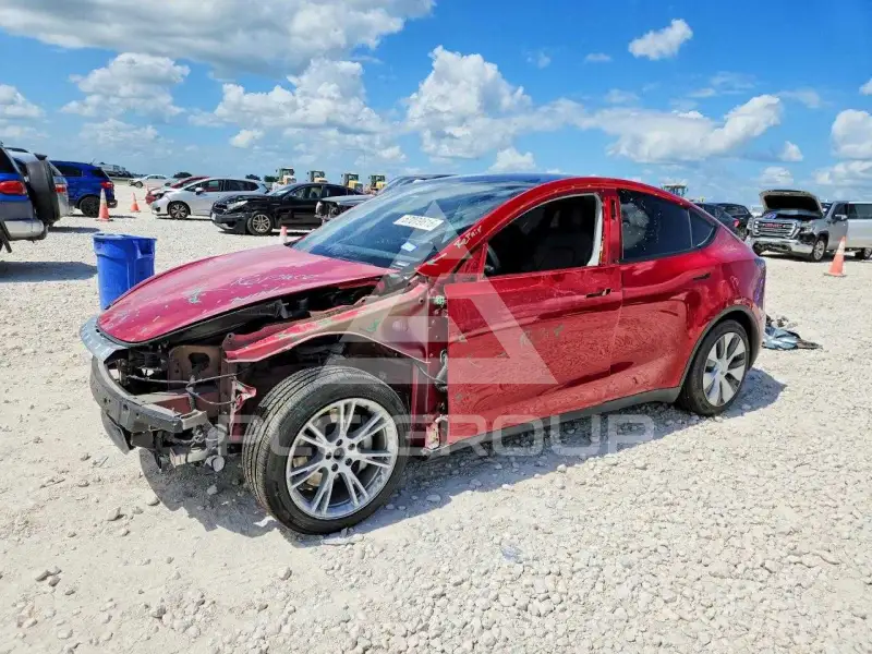 2022 Tesla Model Y photo