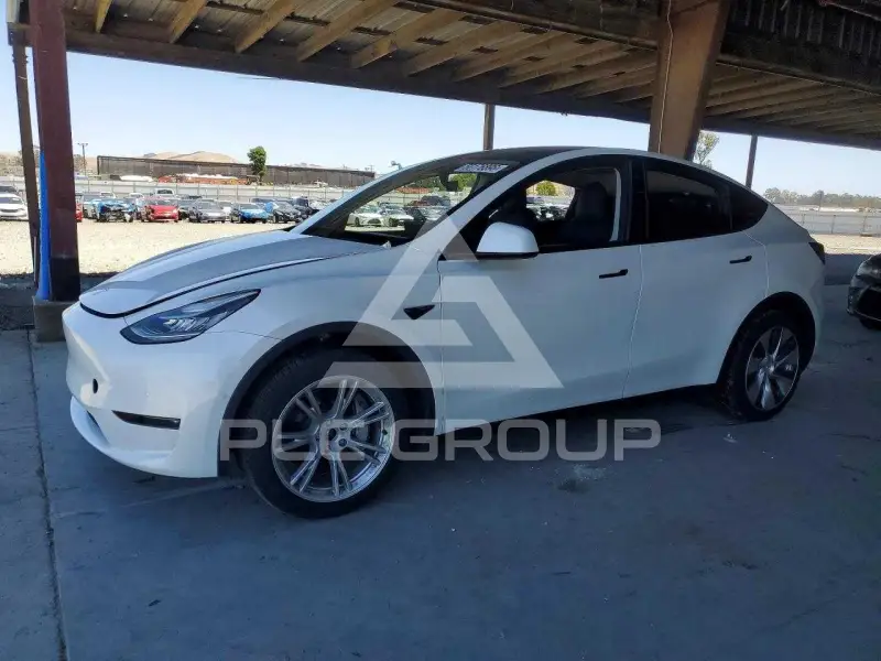 2022 Tesla Model Y фото