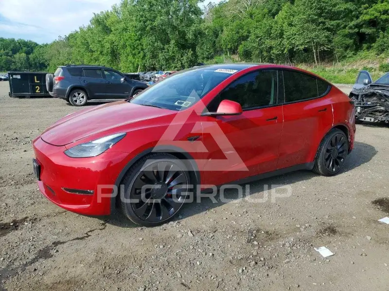 2022 Tesla Model Y photo
