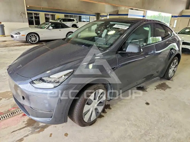 2022 Tesla Model Y фото