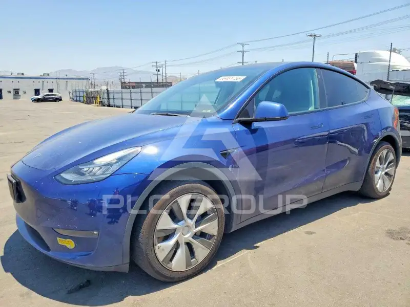 2022 Tesla Model Y photo