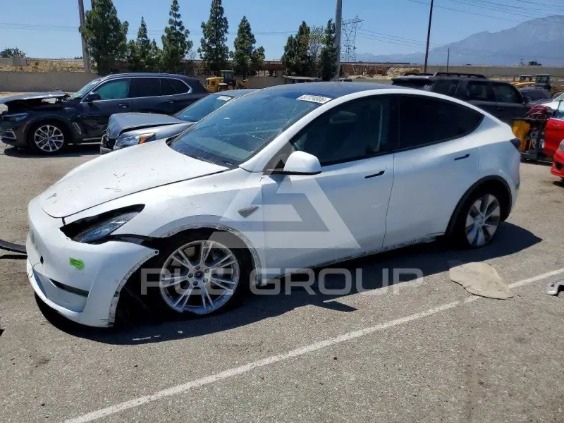 2022 Tesla Model Y photo
