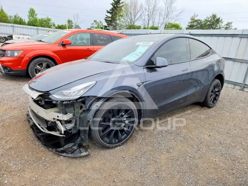 2022 Tesla Model Y фото