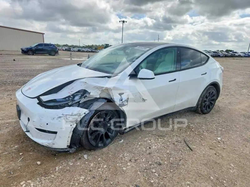2022 Tesla Model Y фото