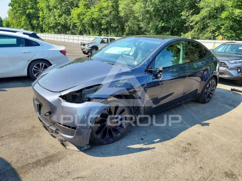 2022 Tesla Model Y photo