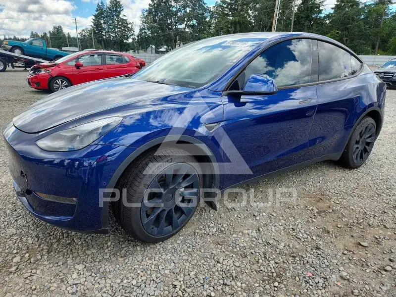 2022 Tesla Model Y фото