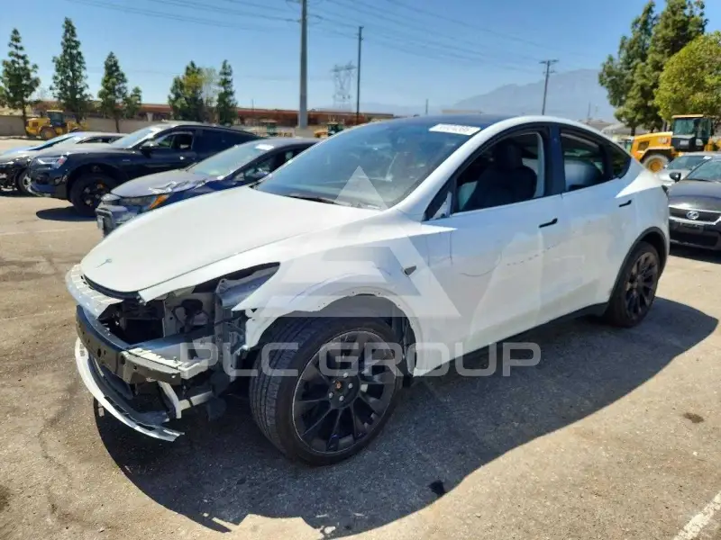 2022 Tesla Model Y photo