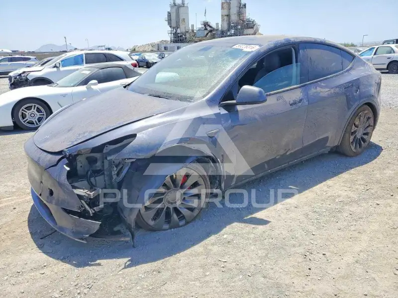 2022 Tesla Model Y photo