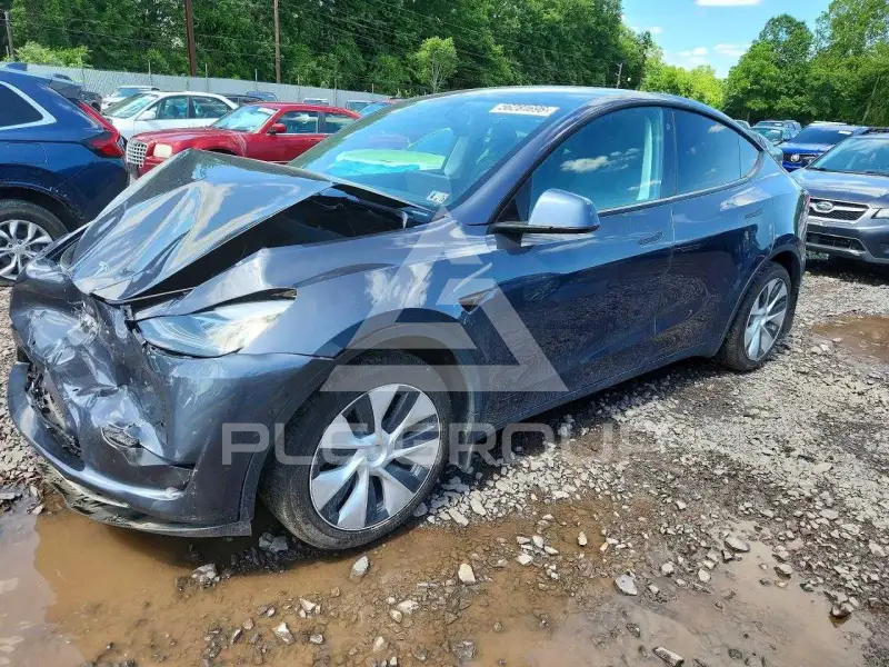2022 Tesla Model Y фото