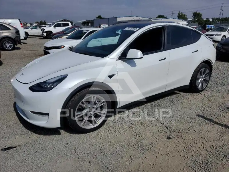 2022 Tesla Model Y photo