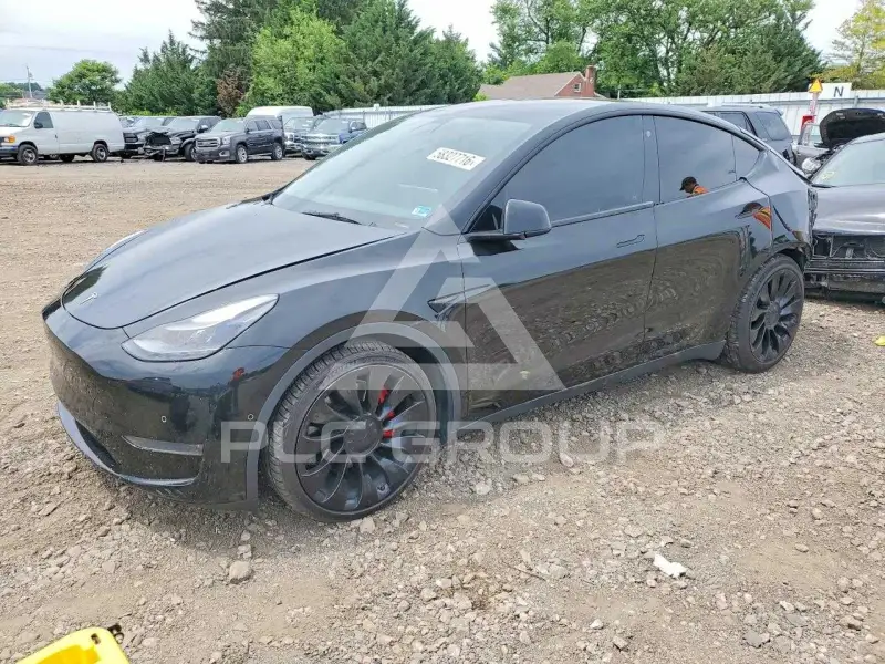 2022 Tesla Model Y photo