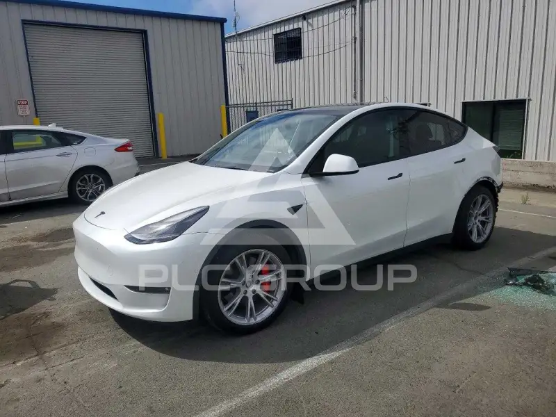 2022 Tesla Model Y фото