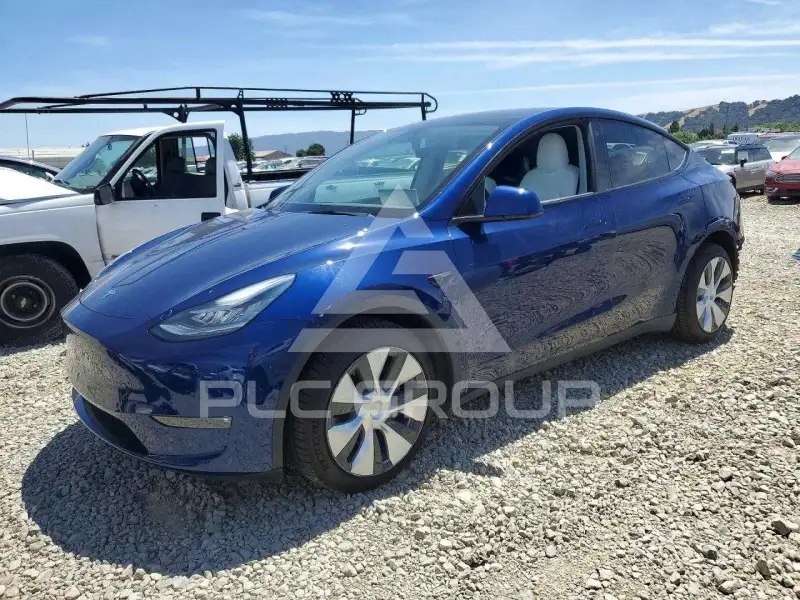 2022 Tesla Model Y фото