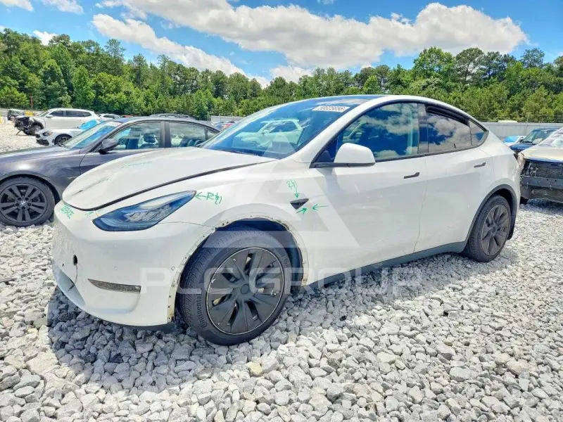 2022 Tesla Model Y фото