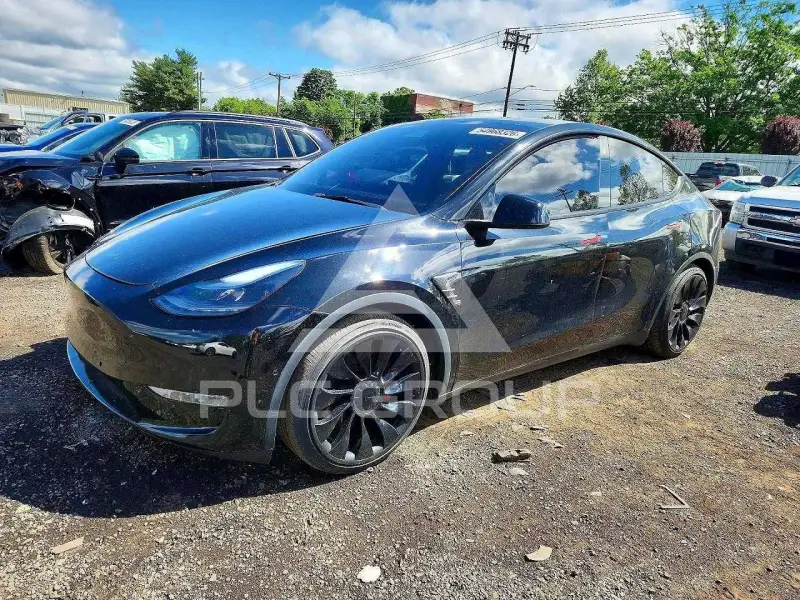 2022 Tesla Model Y фото