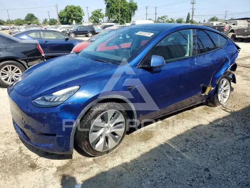2022 Tesla Model Y фото