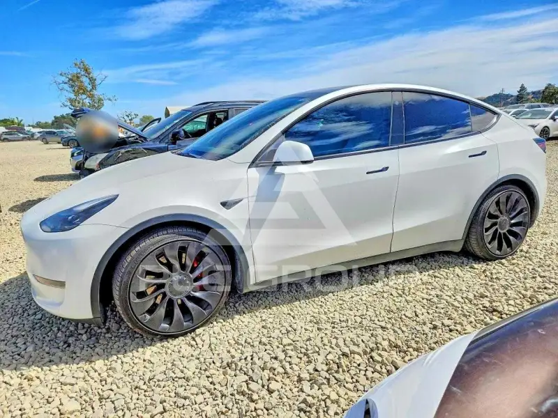 2022 Tesla Model Y фото