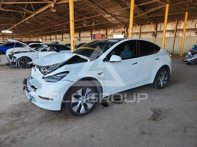 2022 Tesla Model Y photo