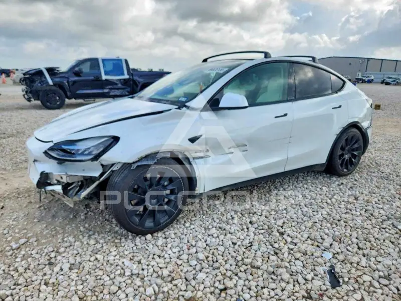 2022 Tesla Model Y photo