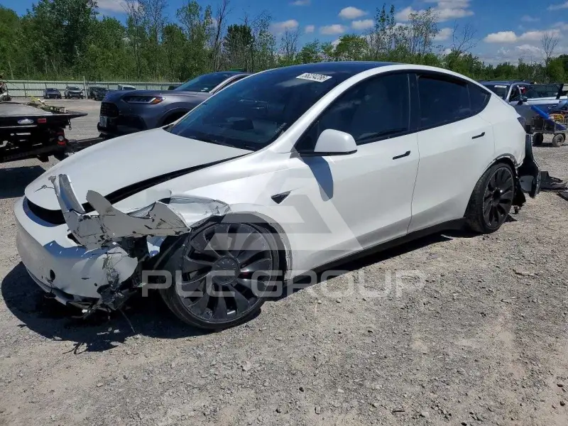 2022 Tesla Model Y photo
