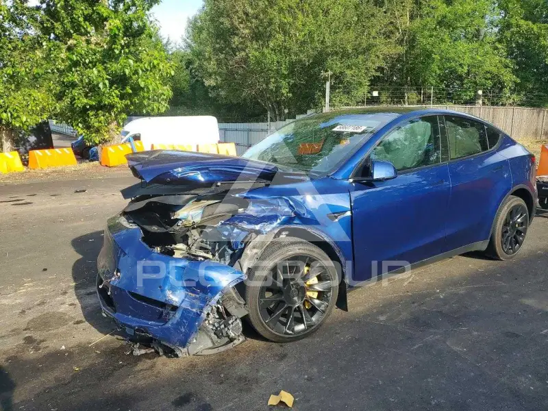 2022 Tesla Model Y photo