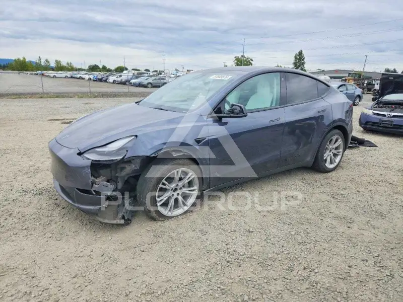 2022 Tesla Model Y фото