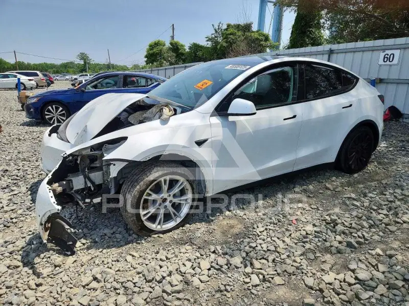 2022 Tesla Model Y фото