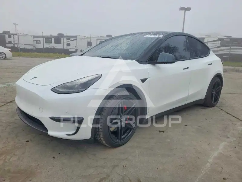 2022 Tesla Model Y photo