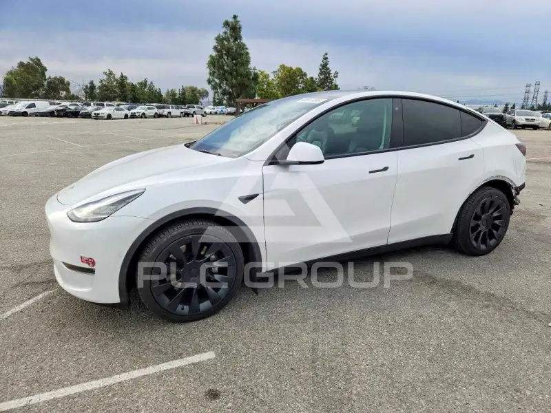 2022 Tesla Model Y фото
